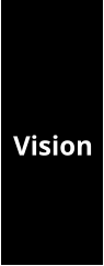 Vision