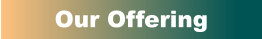 Our Offering